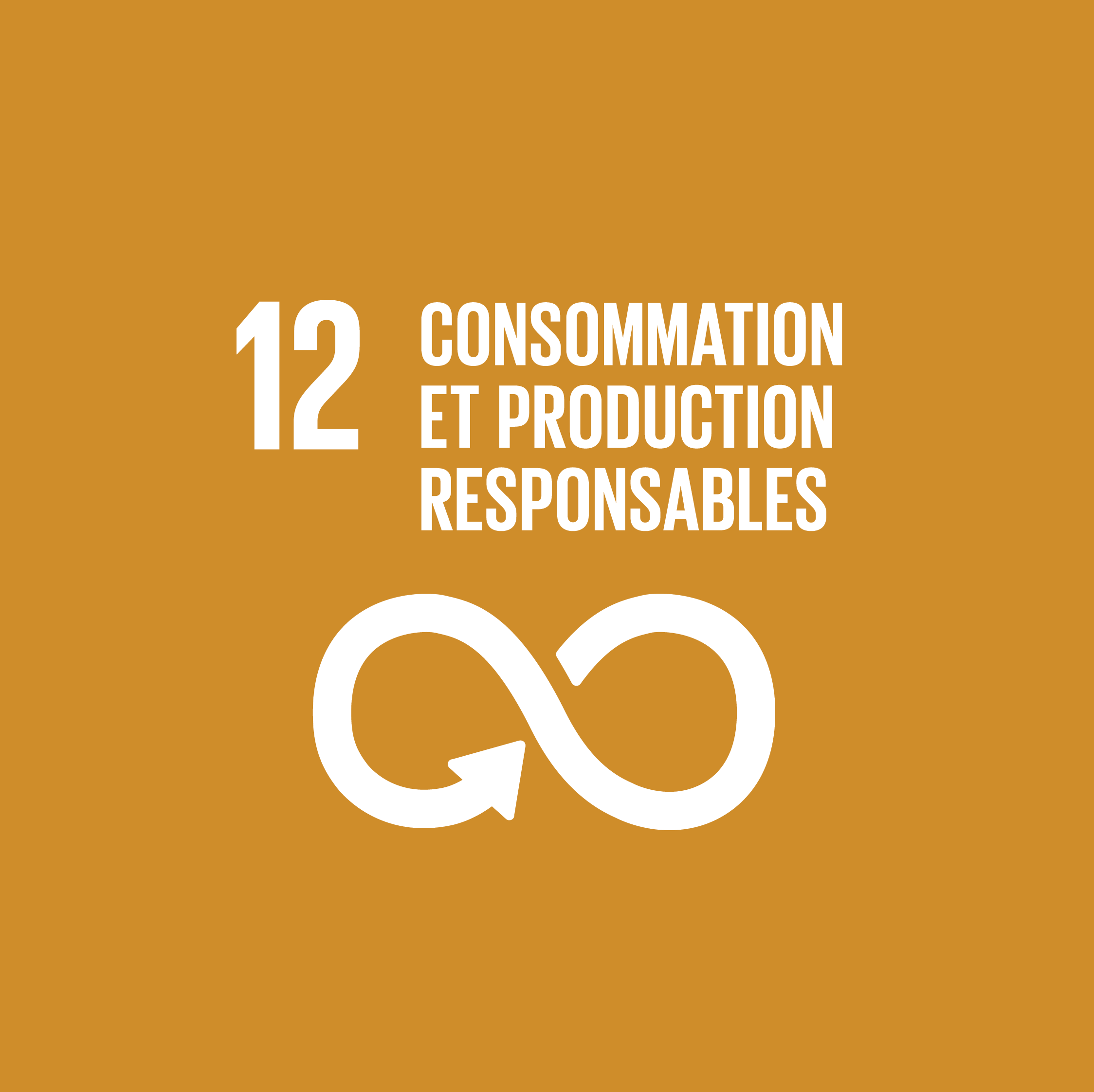 ODD 12-Établir des modes de consommation et de production durables