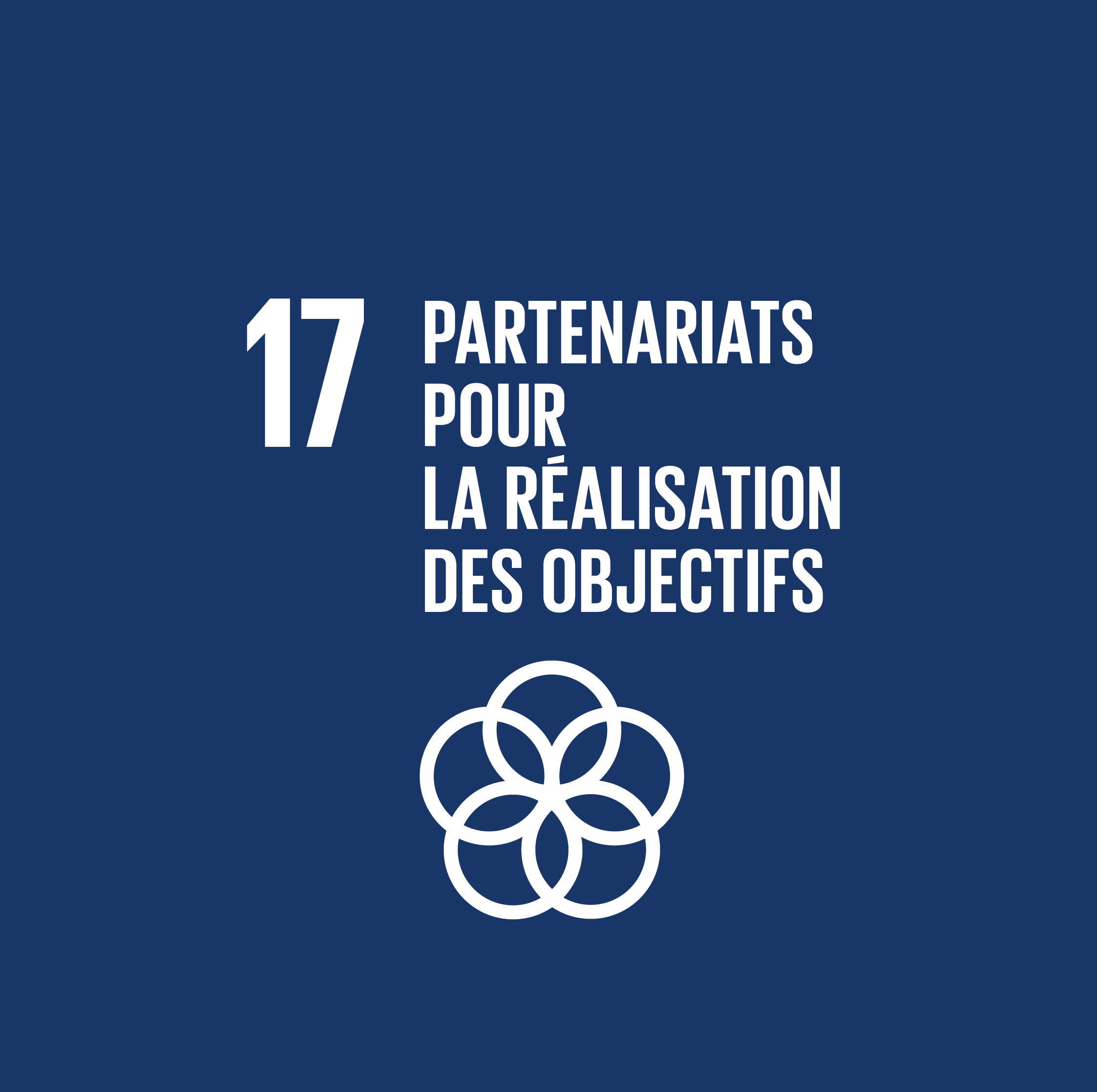 ODD 17-Partenariat mondial pour le développemen